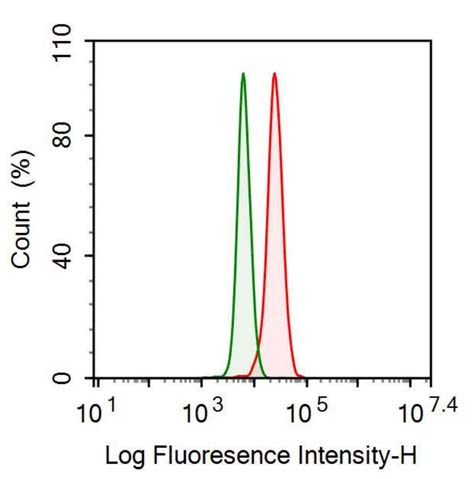 Polyclonal Antibody to Programmed Cell Death Protein 6 (PDCD6)