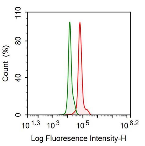 Polyclonal Antibody to Zymogen Granule Protein 16 Homolog B (ZG16B)