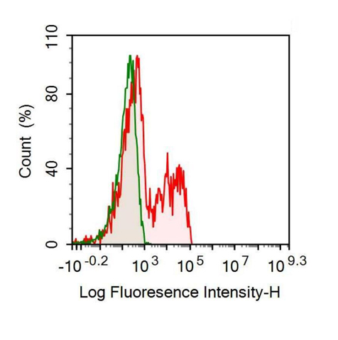 Recombinant Antibody to Interferon Gamma (IFNg)