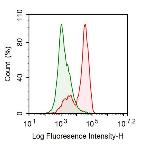 Recombinant Antibody to Interleukin 15 (IL15)