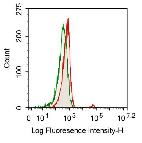 Recombinant Antibody to Interleukin 5 (IL5)