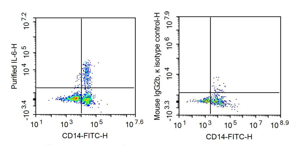 Recombinant Antibody to Interleukin 6 (IL6)