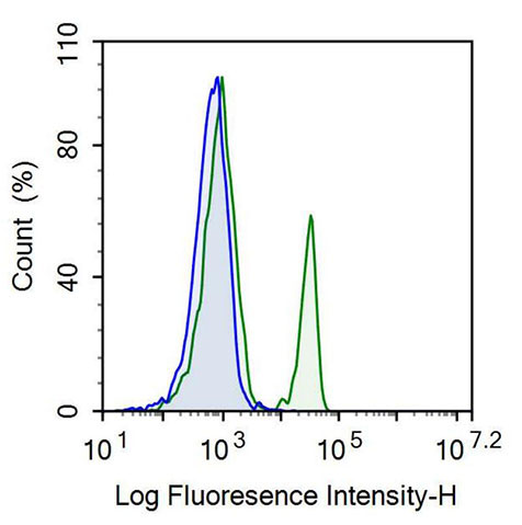 Recombinant Antibody to B-Cell Activation Factor Receptor (BAFFR)