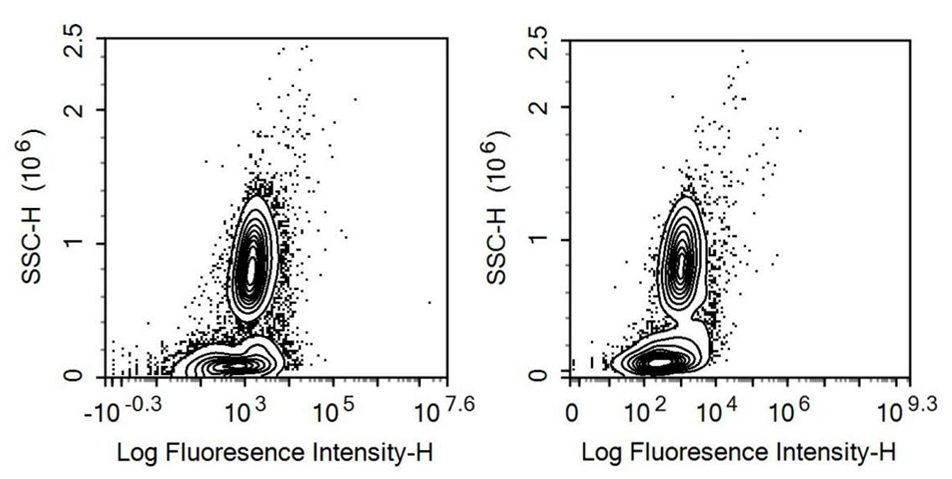 Recombinant Antibody to Cluster Of Differentiation 38 (CD38)