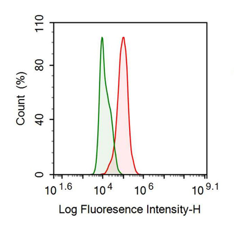 Recombinant Antibody to Epidermal Growth Factor Receptor (EGFR)