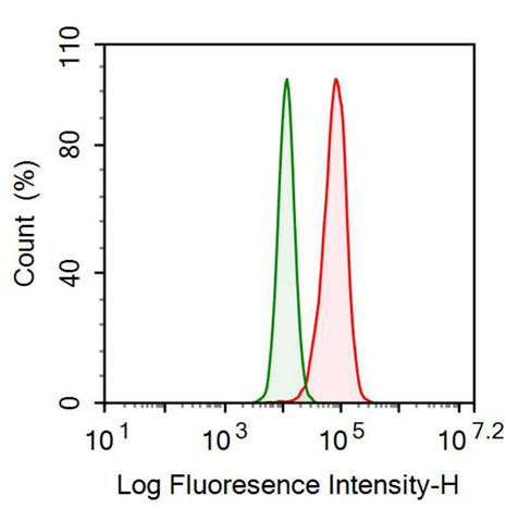 Recombinant Antibody to Programmed Cell Death Protein 1 Ligand 1 (PDL1)