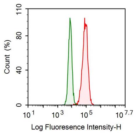 Recombinant Antibody to Programmed Cell Death Protein 1 Ligand 1 (PDL1)