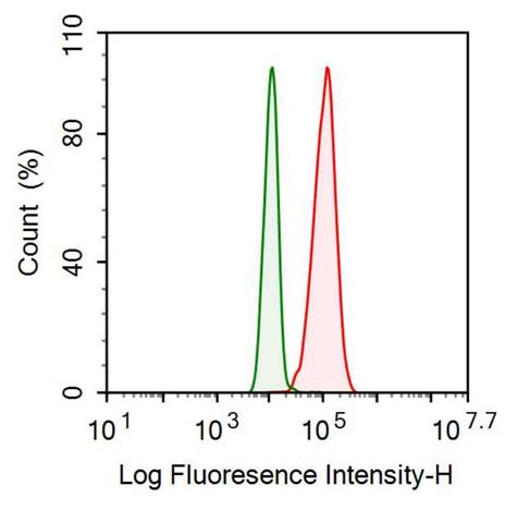 Recombinant Antibody to Programmed Cell Death Protein 1 Ligand 1 (PDL1)