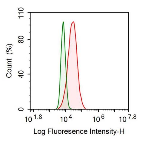 Recombinant Antibody to Tumor Necrosis Factor Receptor Superfamily, Member 12A (TNFRSF12A)