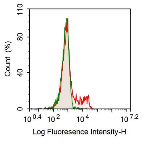 Recombinant Antibody to Cluster Of Differentiation 200 (CD200)