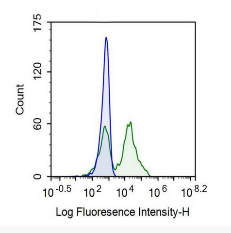 Recombinant Antibody to Cluster Of Differentiation 26 (CD26)