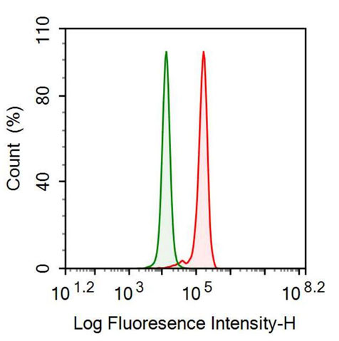 Recombinant Antibody to Serum Amyloid A (SAA)