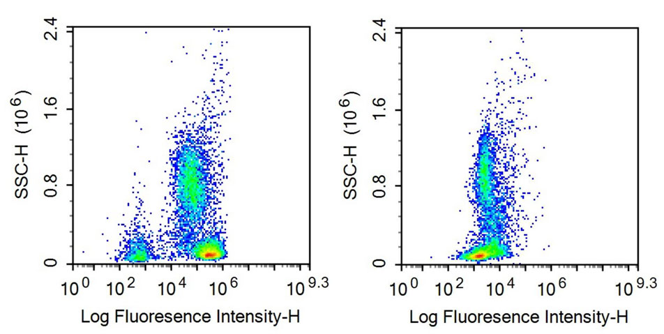 Recombinant Antibody to Protein Tyrosine Phosphatase Receptor Type C (CD45)