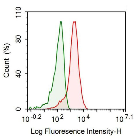 Recombinant Antibody to Motility Related Protein (MRP1)