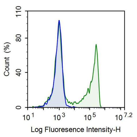 Recombinant Antibody to Cluster Of Differentiation 8a (CD8a)