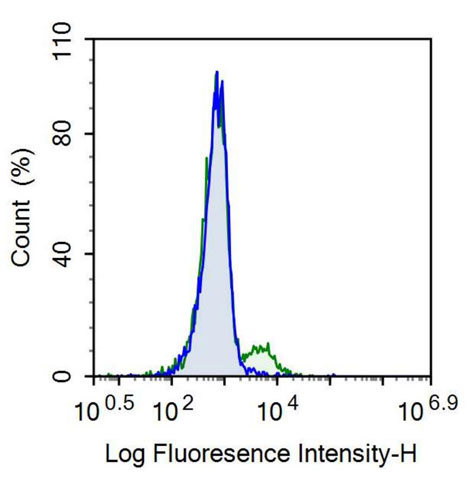 Recombinant Antibody to Sialic Acid Binding Ig Like Lectin 2 (CD22)