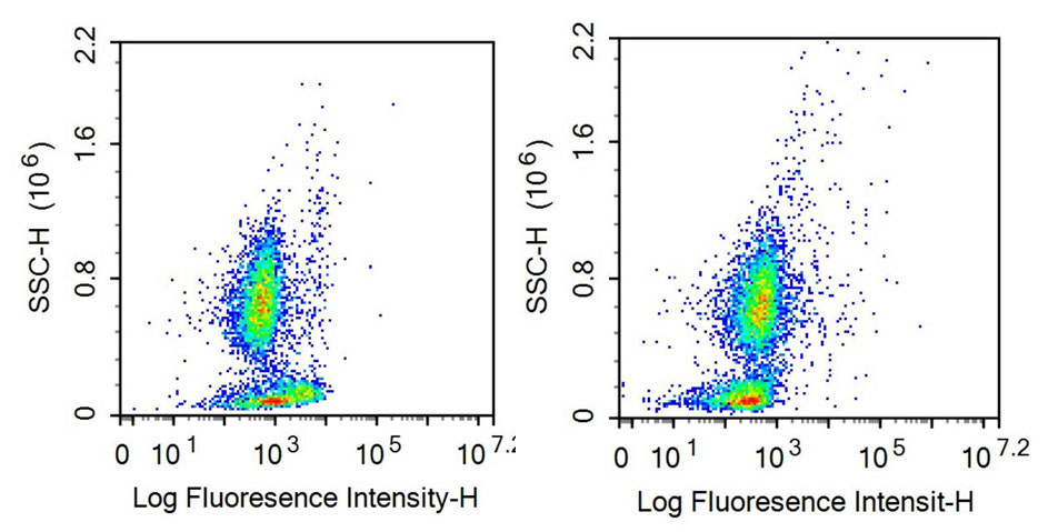 Recombinant Antibody to Target Of The Antiproliferative Antibody 1 (TAPA1)