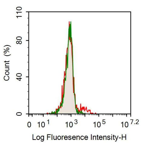 Recombinant Antibody to Cluster Of Differentiation 56 (CD56)