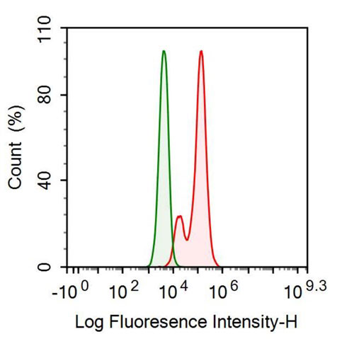 Recombinant Antibody to Tumor Necrosis Factor Ligand Superfamily, Member 7 (TNFSF7)