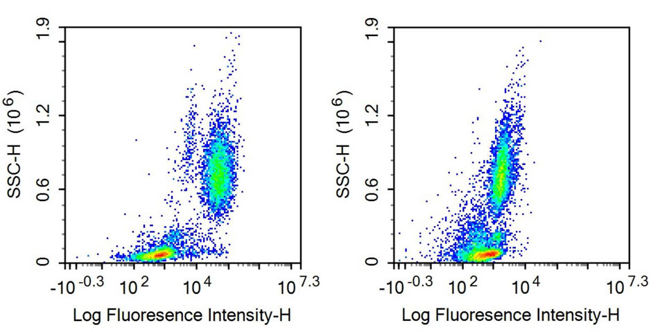 Recombinant Antibody to Fc Fragment Of IgG Low Affinity IIIb Receptor (FcgR3B)