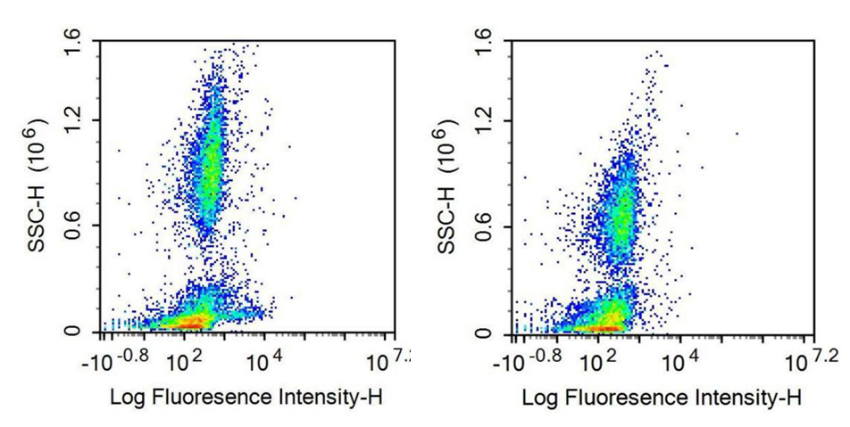 Recombinant Antibody to Cluster of Differentiation 79B (CD79B)