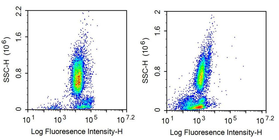 Recombinant Antibody to Lymphocyte Function Associated Antigen 1 Alpha (CD11a)