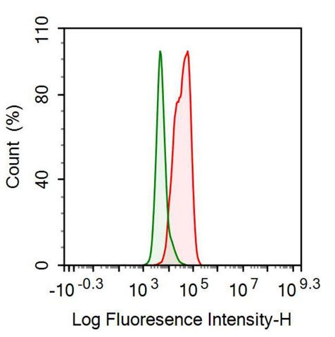 Recombinant Antibody to Mullerian Inhibiting Substance Type II Receptor (MISR2)