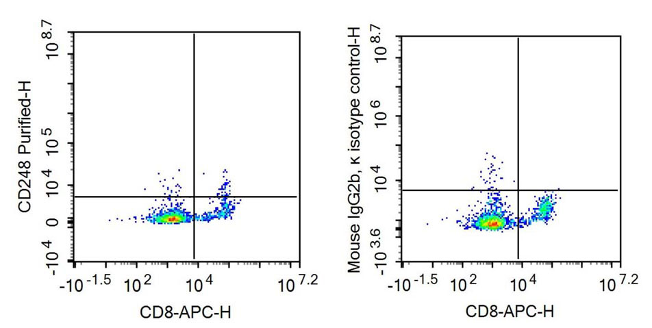 Recombinant Antibody to Tumor Endothelial Marker 1 (TEM1)