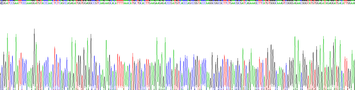 Recombinant Activin A (ACVA)