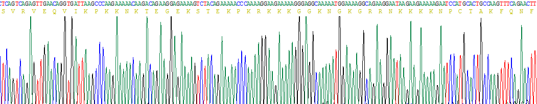 Recombinant Amphiregulin (AREG)