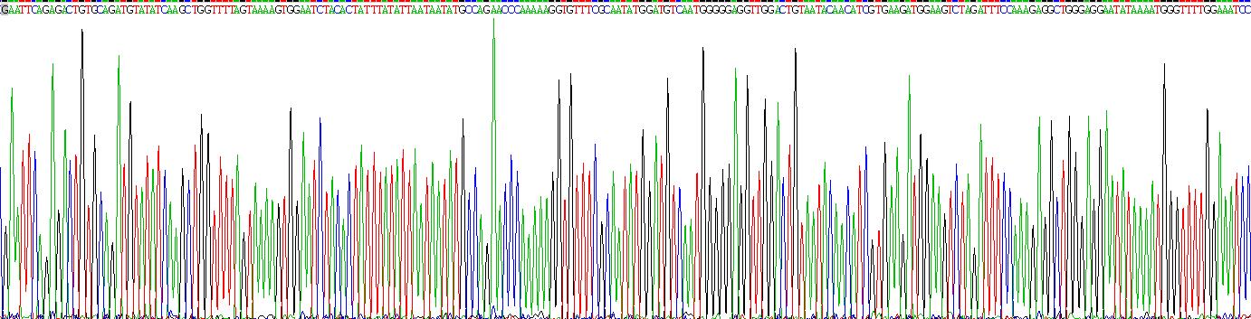 Recombinant Angiopoietin 1 (ANGPT1)