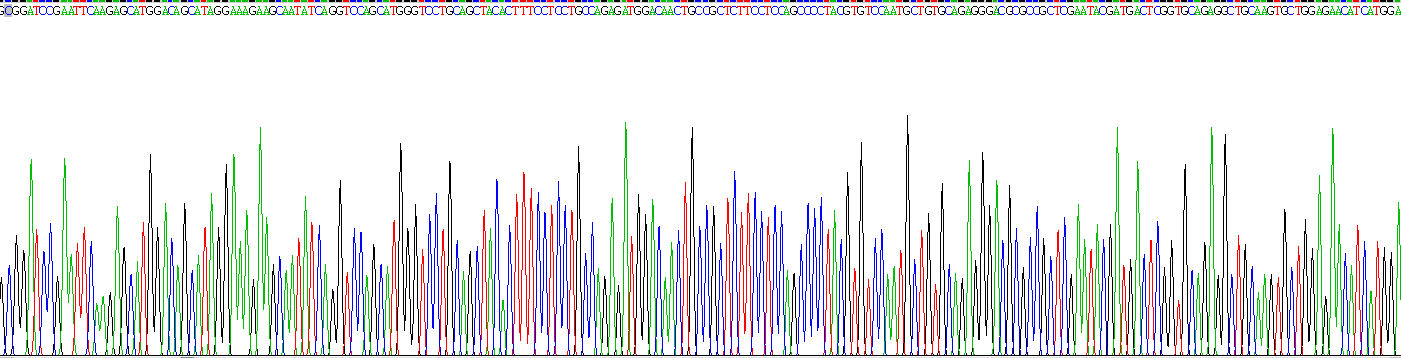 Recombinant Angiopoietin 2 (ANGPT2)