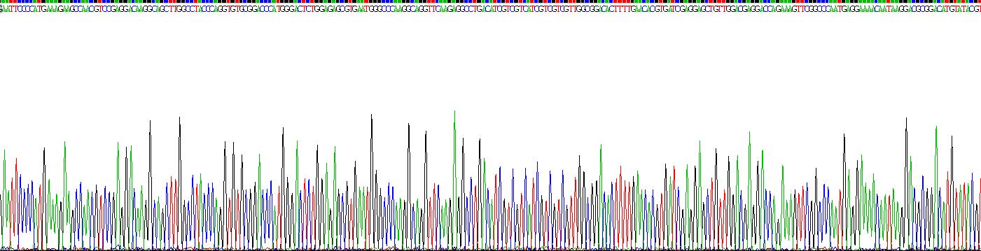 Recombinant Brain Derived Neurotrophic Factor (BDNF)