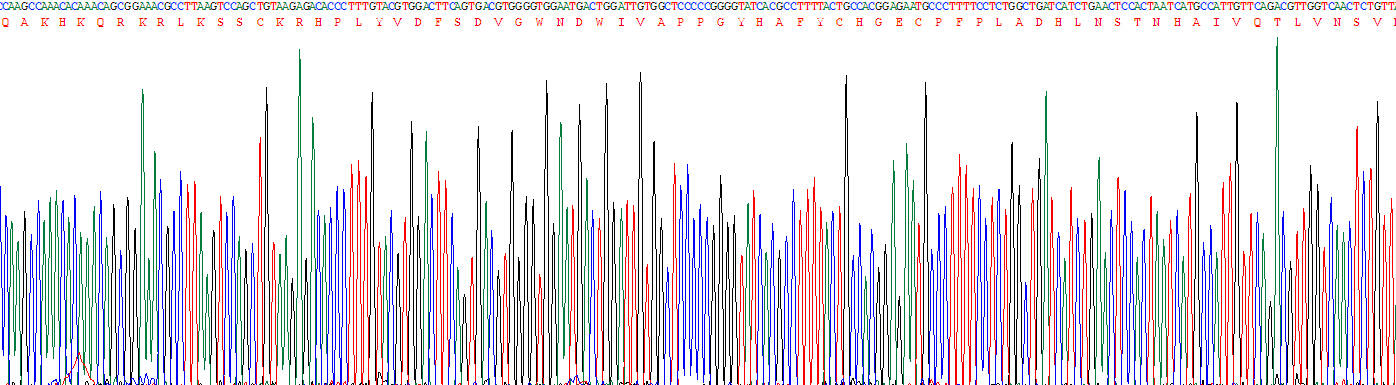 Recombinant Bone Morphogenetic Protein 2 (BMP2)