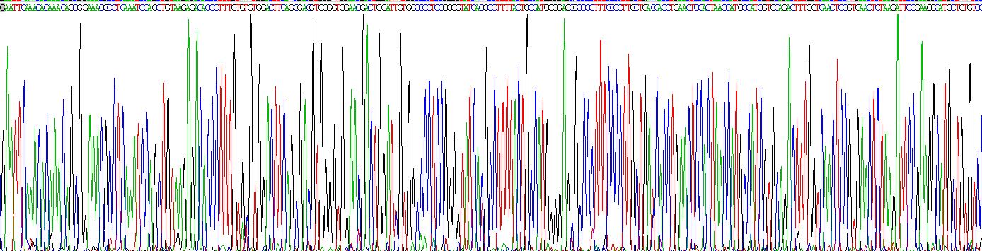 Recombinant Bone Morphogenetic Protein 2 (BMP2)