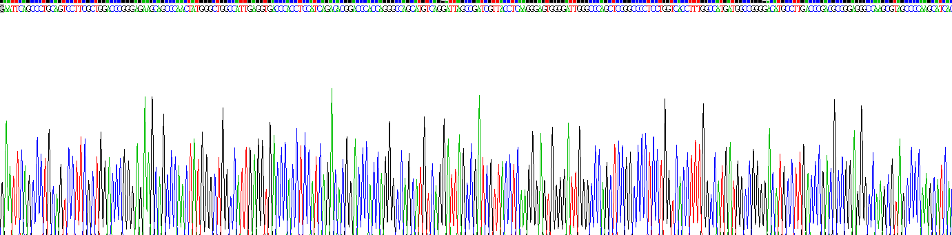 Recombinant Bone Morphogenetic Protein 4 (BMP4)