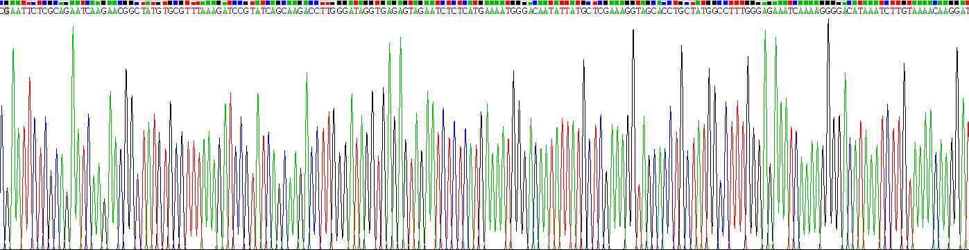 Recombinant Bone Morphogenetic Protein Receptor 2 (BMPR2)