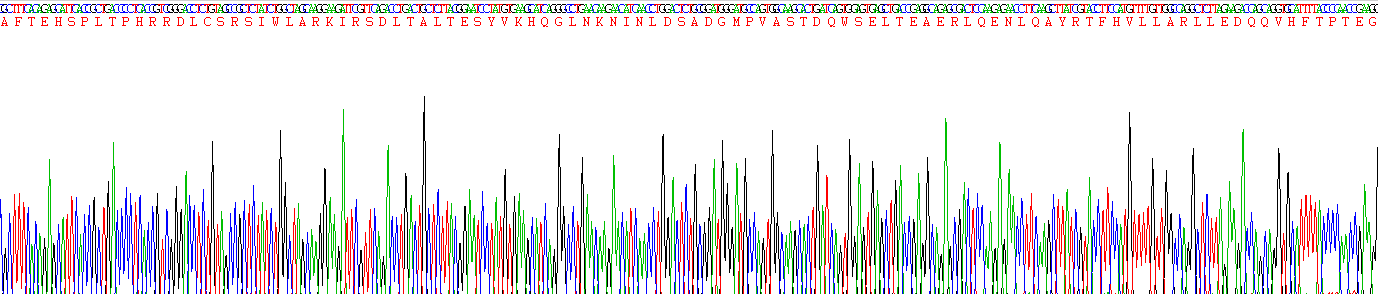 Recombinant Ciliary Neurotrophic Factor (CNTF)