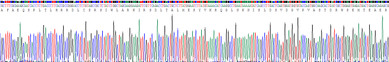 Recombinant Ciliary Neurotrophic Factor (CNTF)