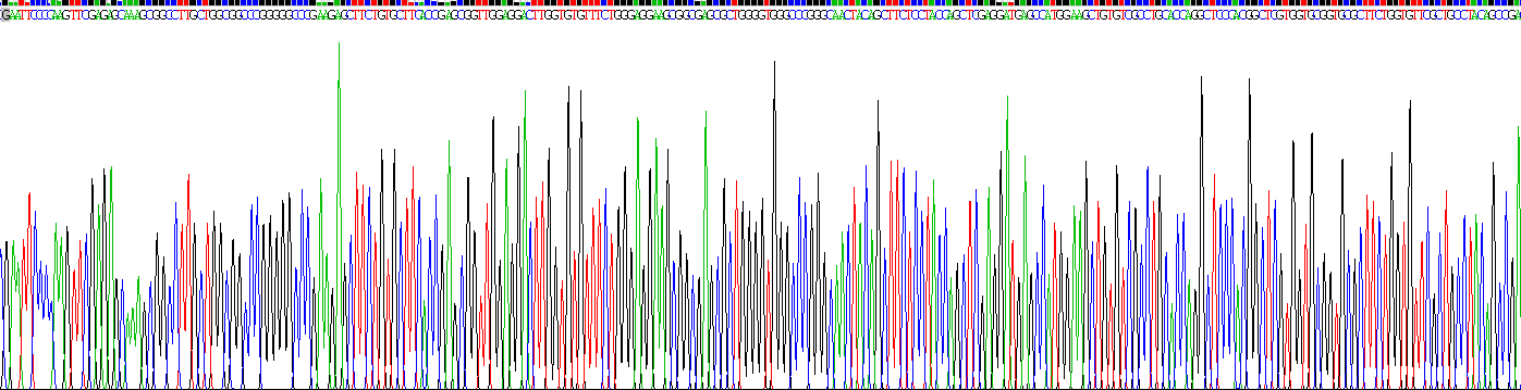 Recombinant Erythropoietin Receptor (EPOR)