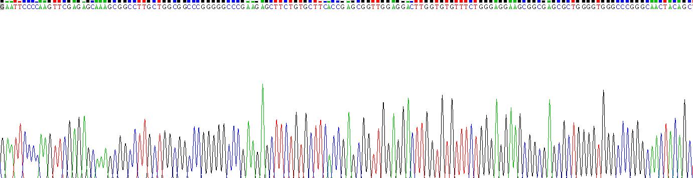 Recombinant Erythropoietin Receptor (EPOR)