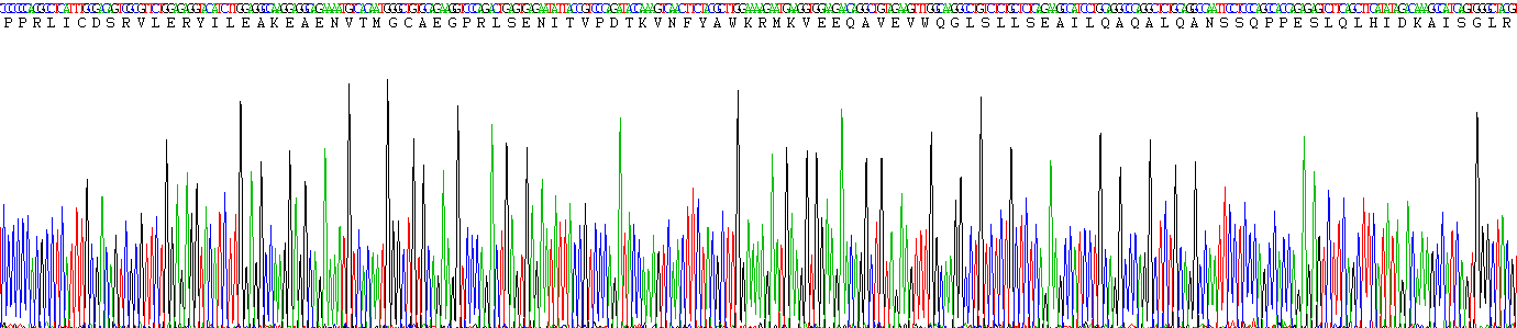 Recombinant Erythropoietin (EPO)