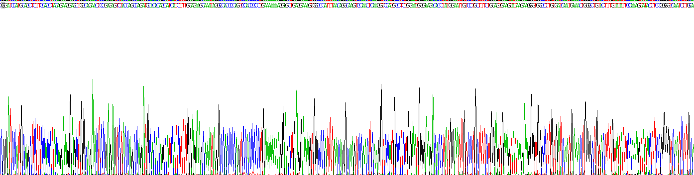 Recombinant Factor Related Apoptosis Ligand (FASL)