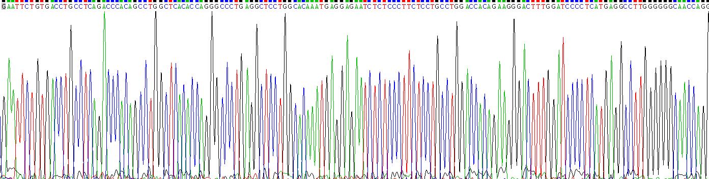 Recombinant Interferon Alpha (IFNa)