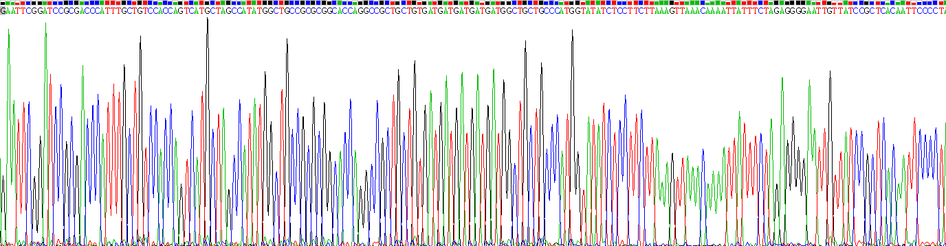 Recombinant Interferon Alpha (IFNa)