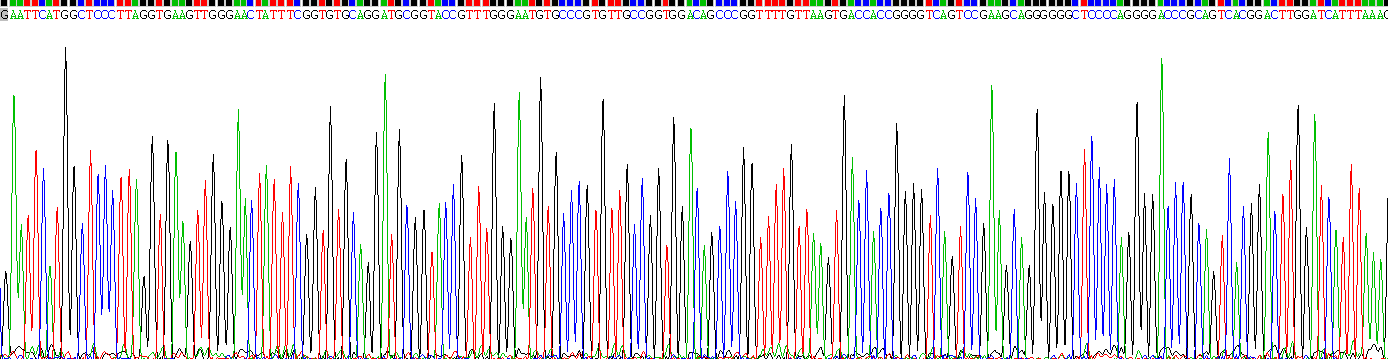 Recombinant Fibroblast Growth Factor 9 (FGF9)