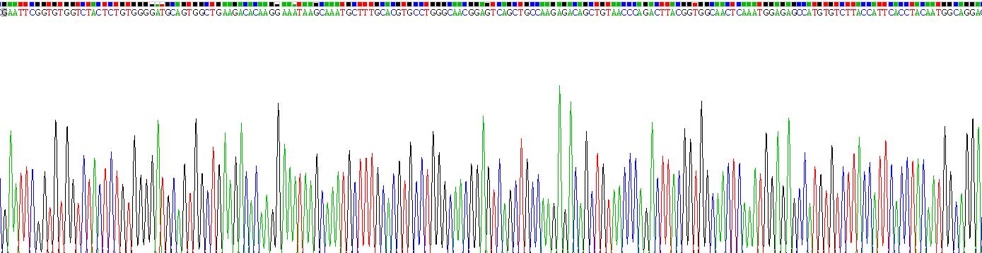 Recombinant Fibronectin (FN)