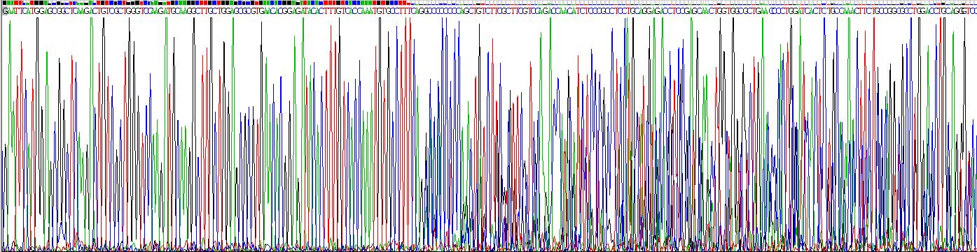 Recombinant FMS Like Tyrosine Kinase 3 Ligand (Flt3L)