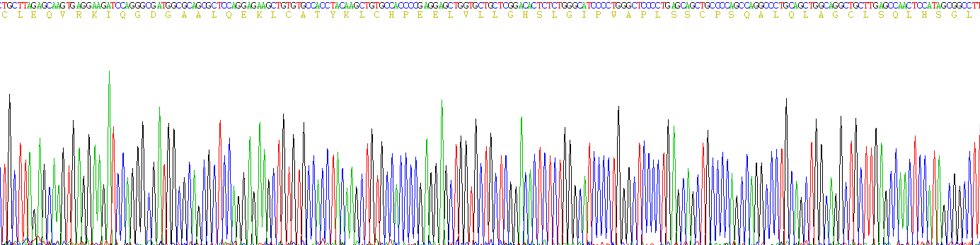 Recombinant Colony Stimulating Factor 3, Granulocyte (GCSF)