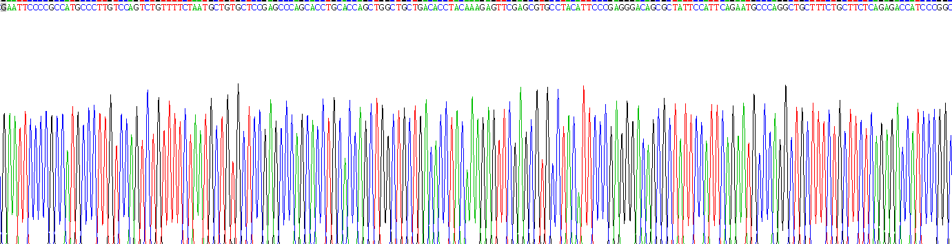 Recombinant Growth Hormone (GH)